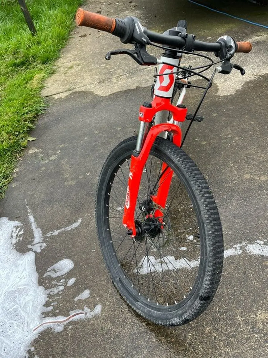 Scott Scale - Image 1