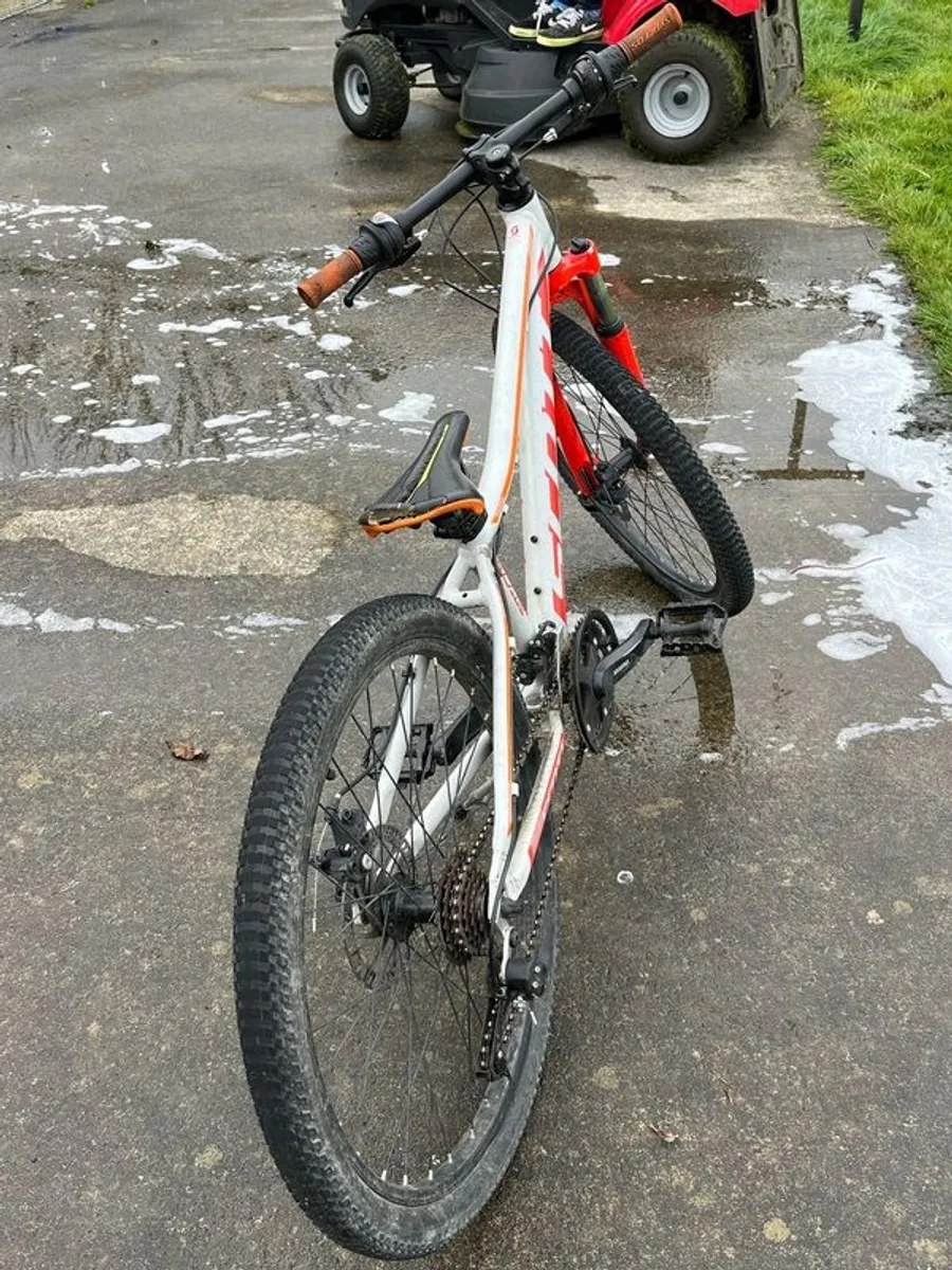 Scott Scale - Image 2