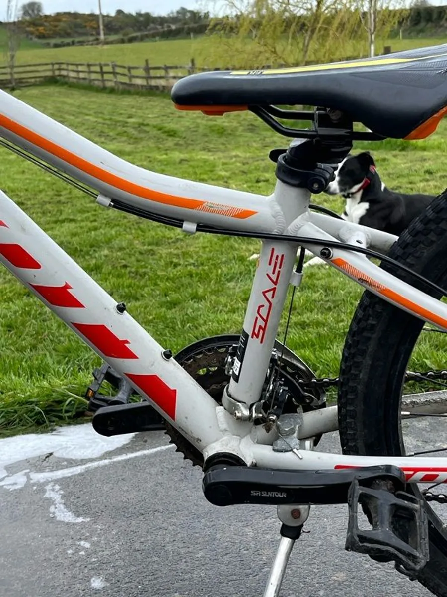 Scott Scale - Image 3