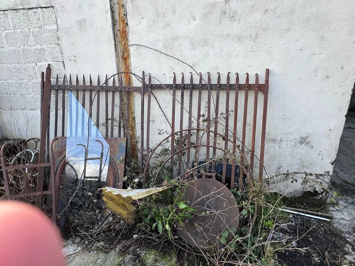 Antique Victorian gates - Image 1