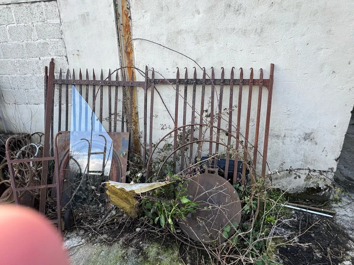 Antique Victorian gates - Image 2
