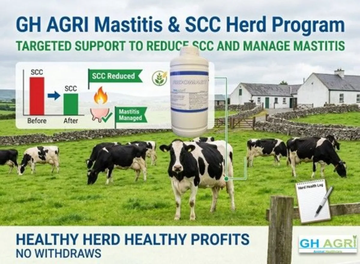 SCC & Mastitis Herd Program