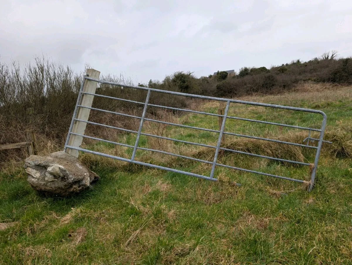 Aluminum Gate with Post - Image 1