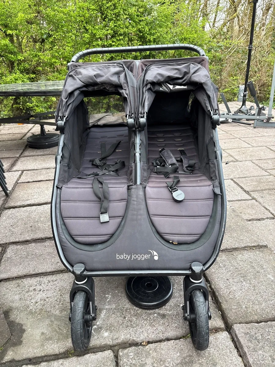 Double Buggy - Image 1