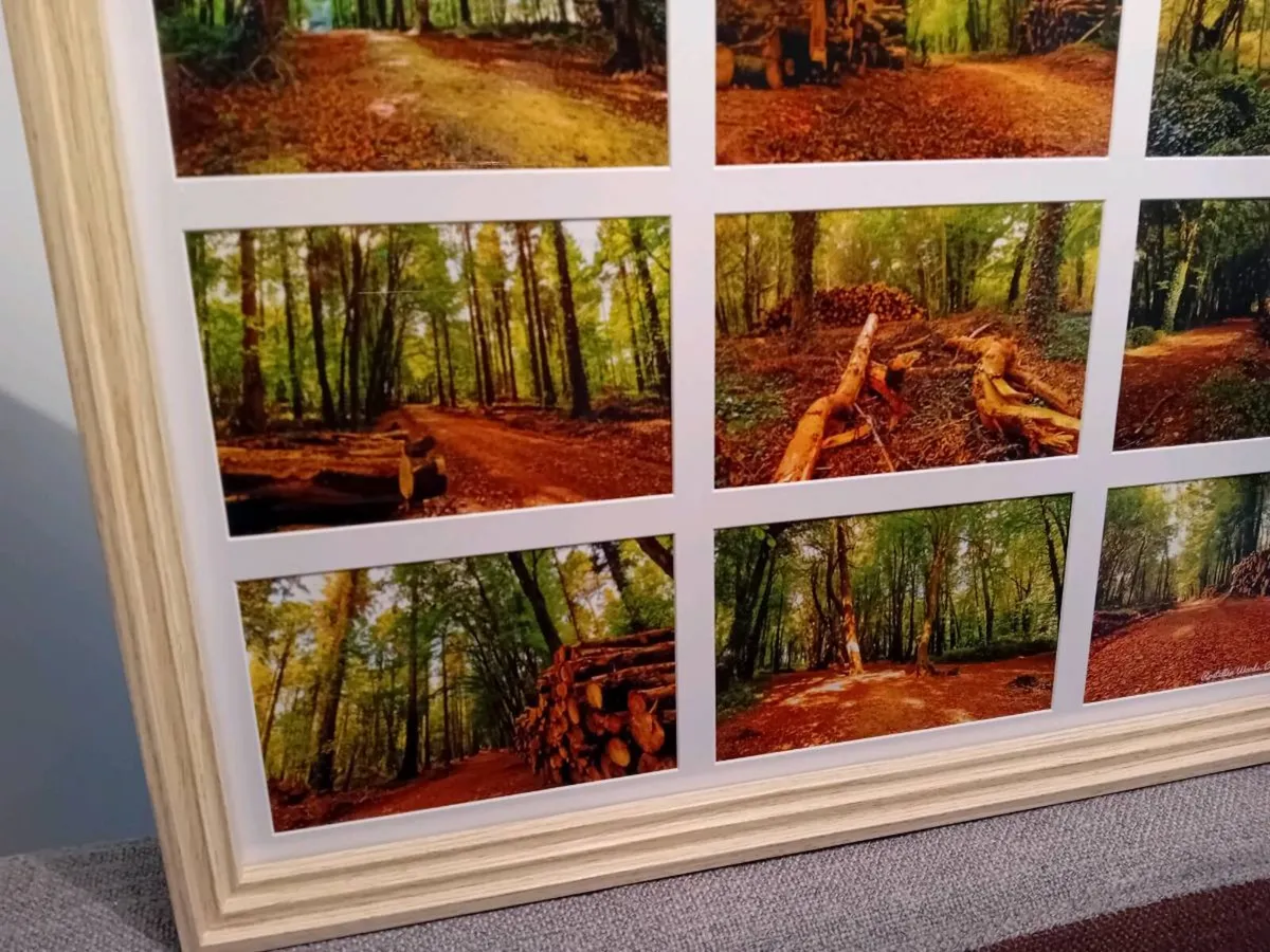 Rostellan Woods - Image 2