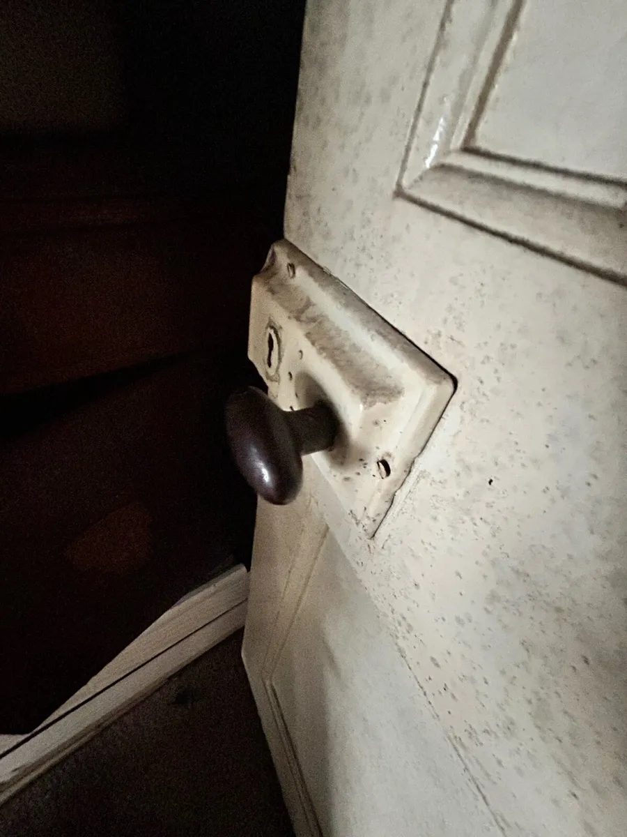 Internal doors - Image 3