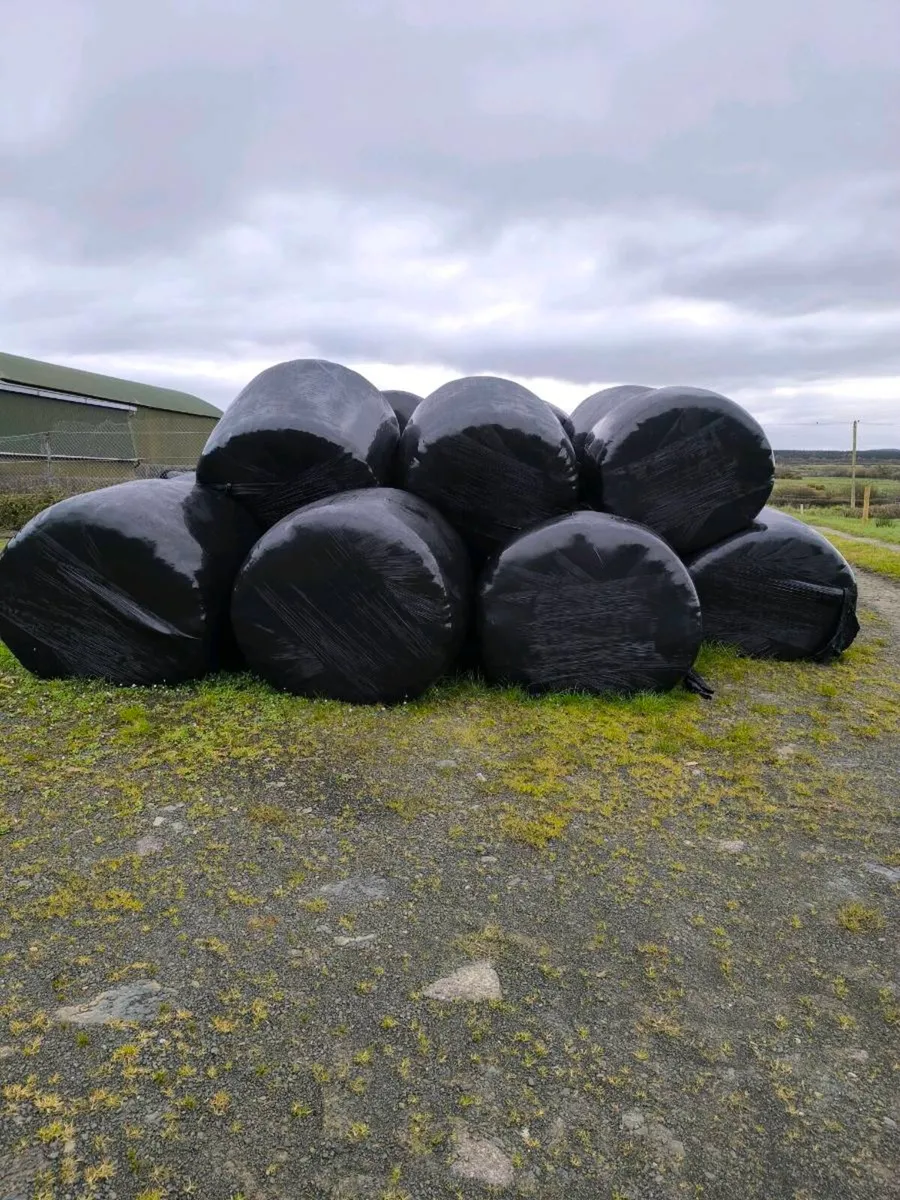 Hay and Haylage - Image 2