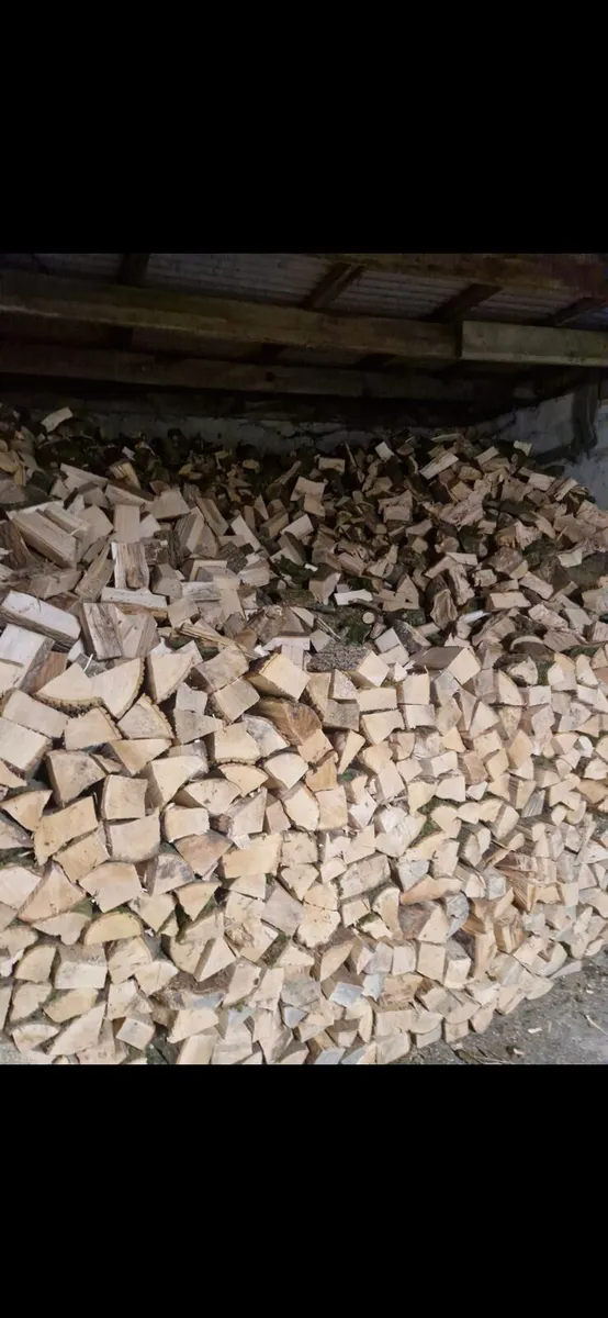 Firewood - Image 2
