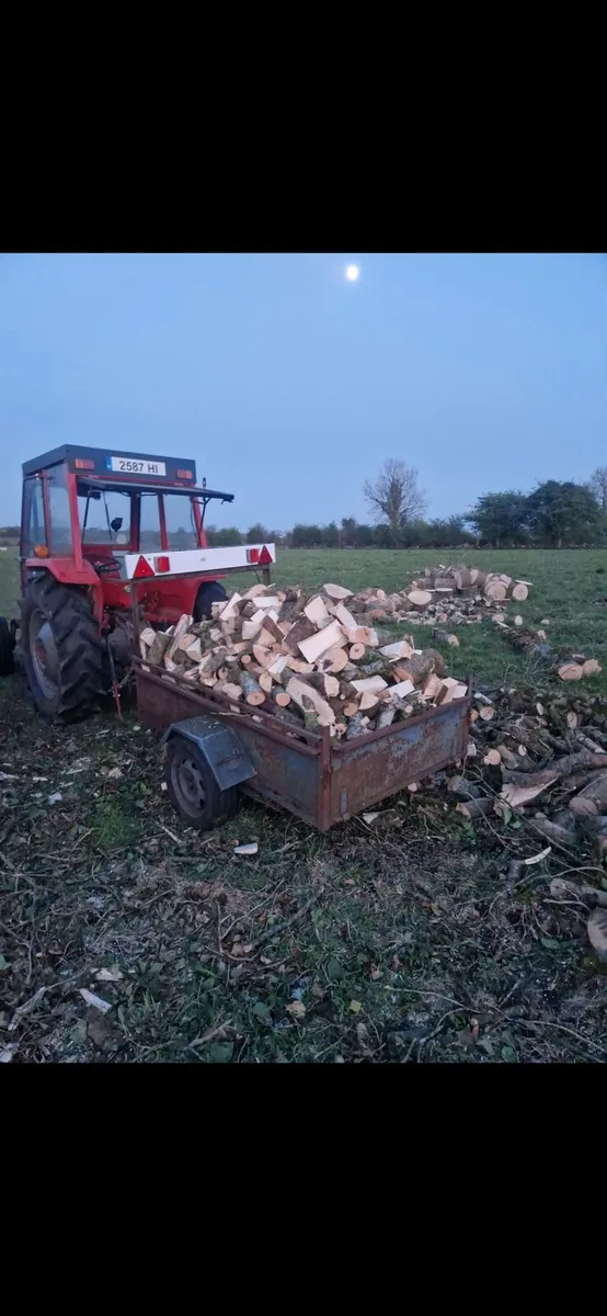 Firewood - Image 3