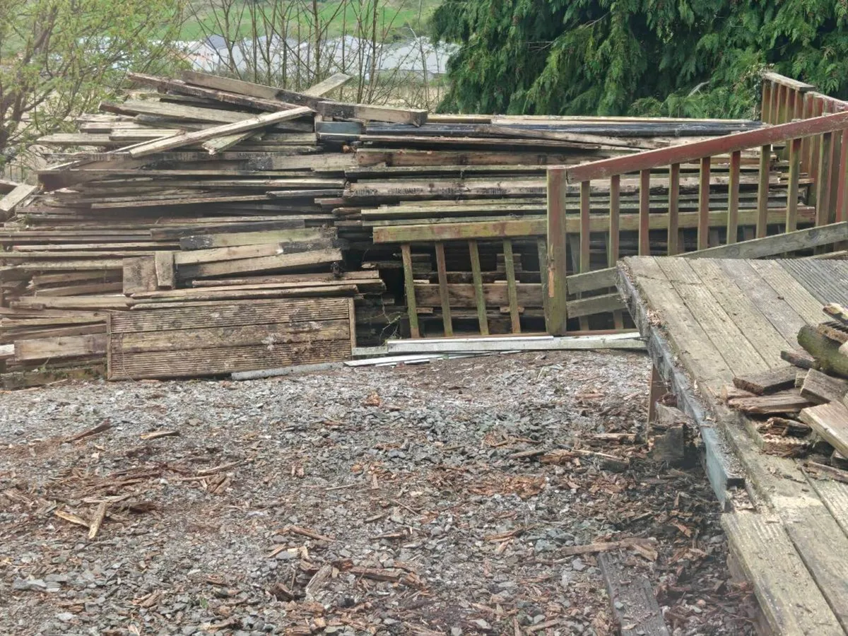 Free Fire Wood - Image 3