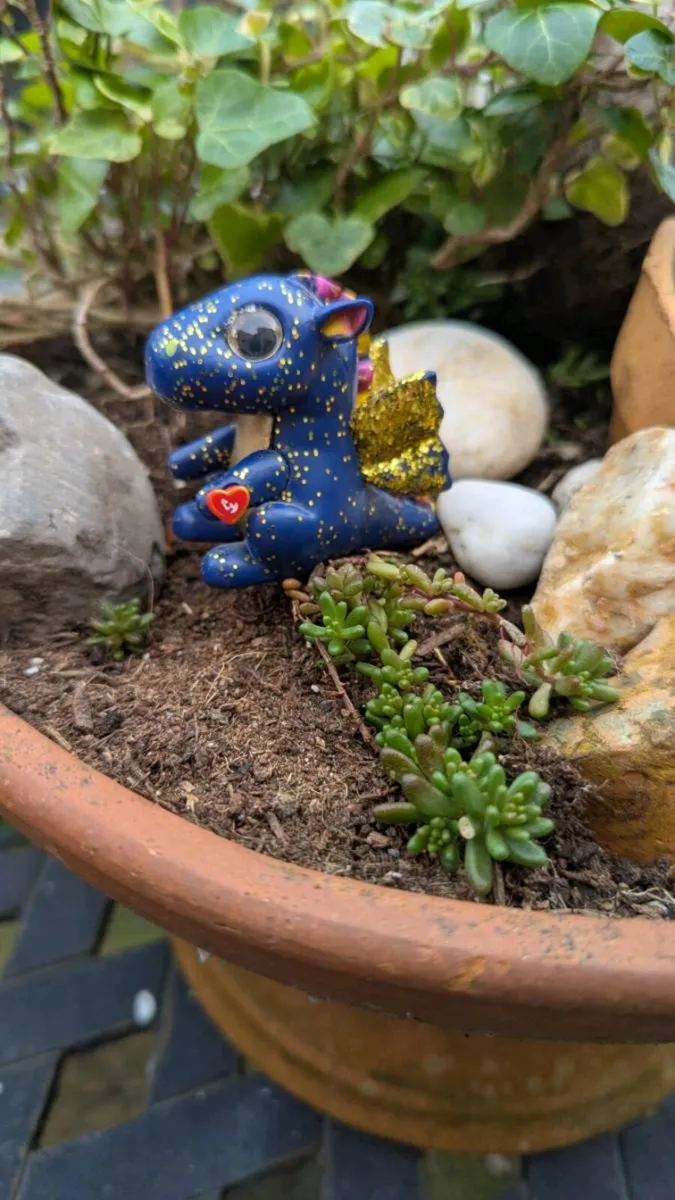 Saffire the Dragon - Image 1