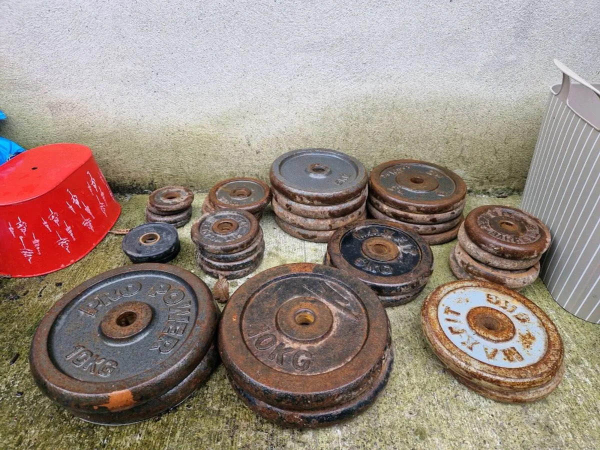 Gym weights - Image 1