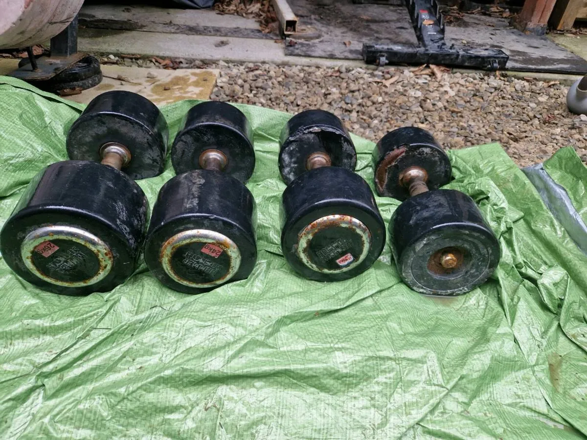 Gym weights - Image 3