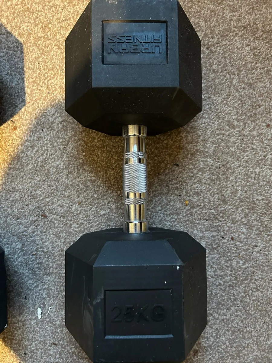 25kg dumbbells - Image 2