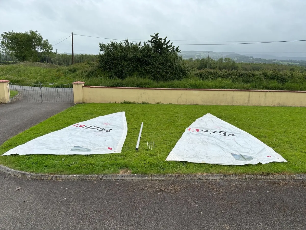 Laser Dighney - Image 4