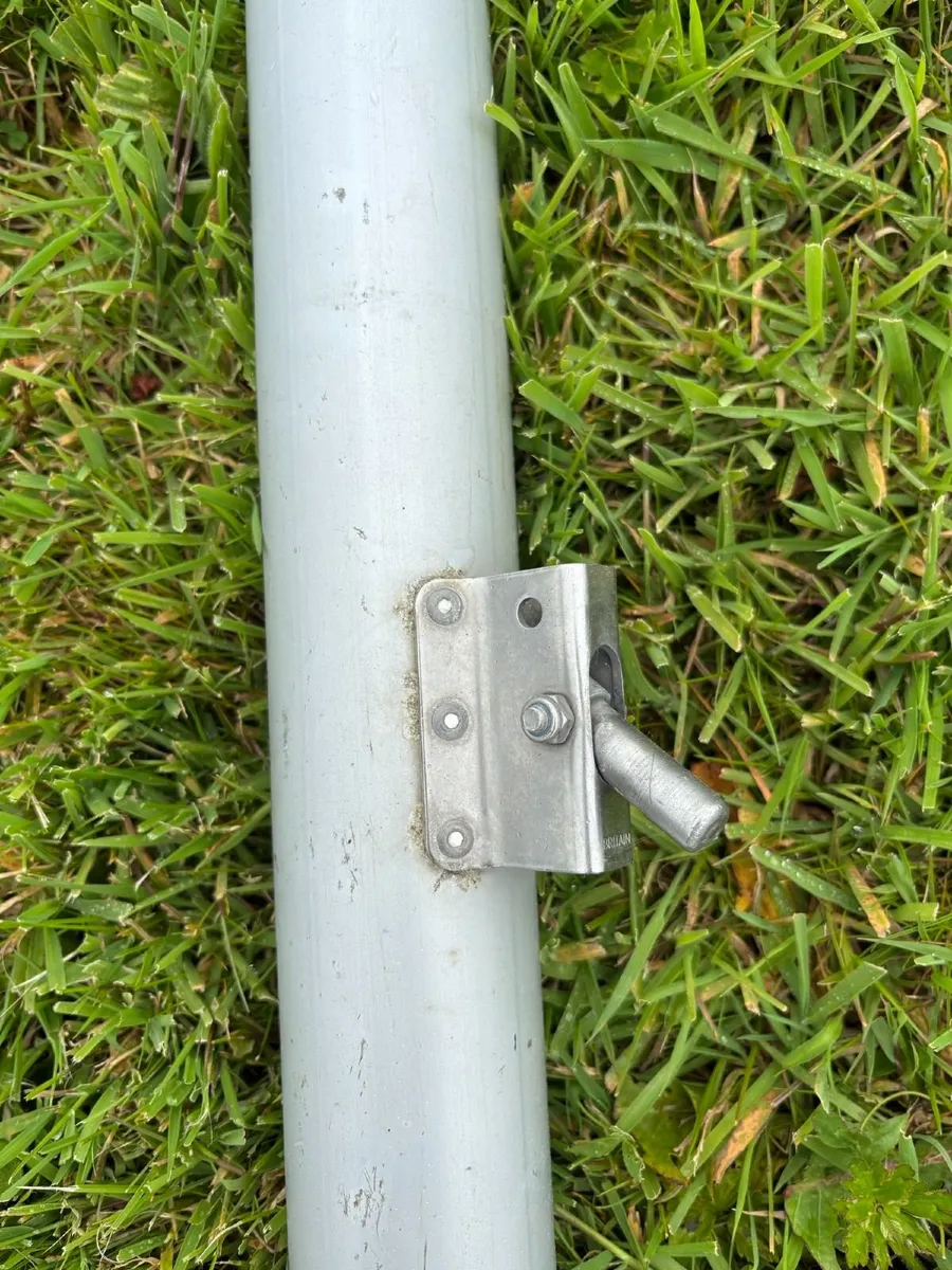 Laser Dighney - Image 3