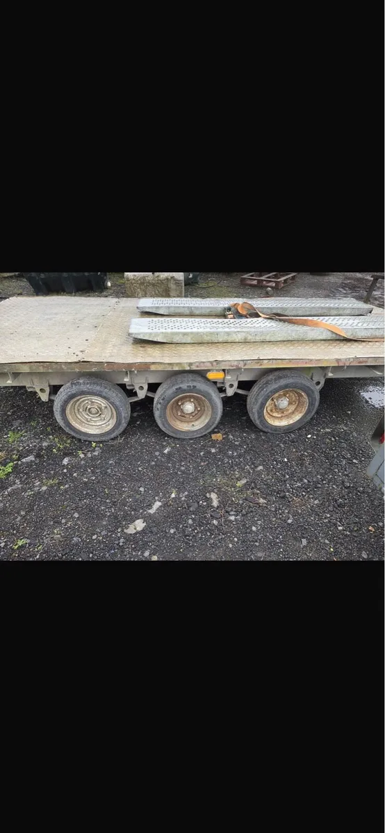 Trailer 14 ft,low loader,Hedgecutter,lots to clear - Image 4