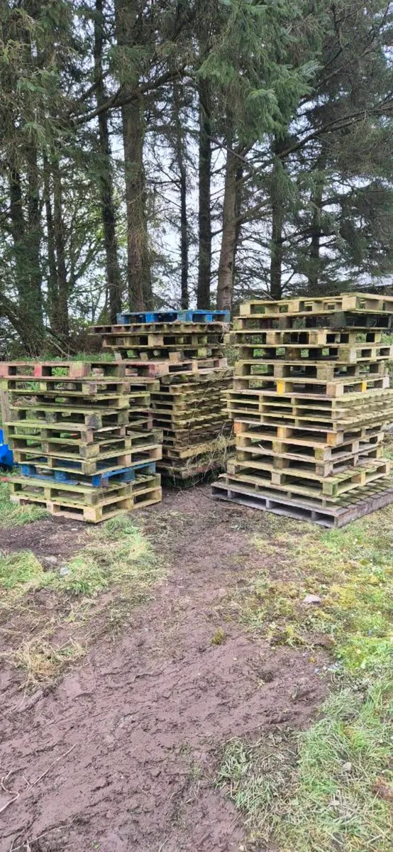 Timber pallets