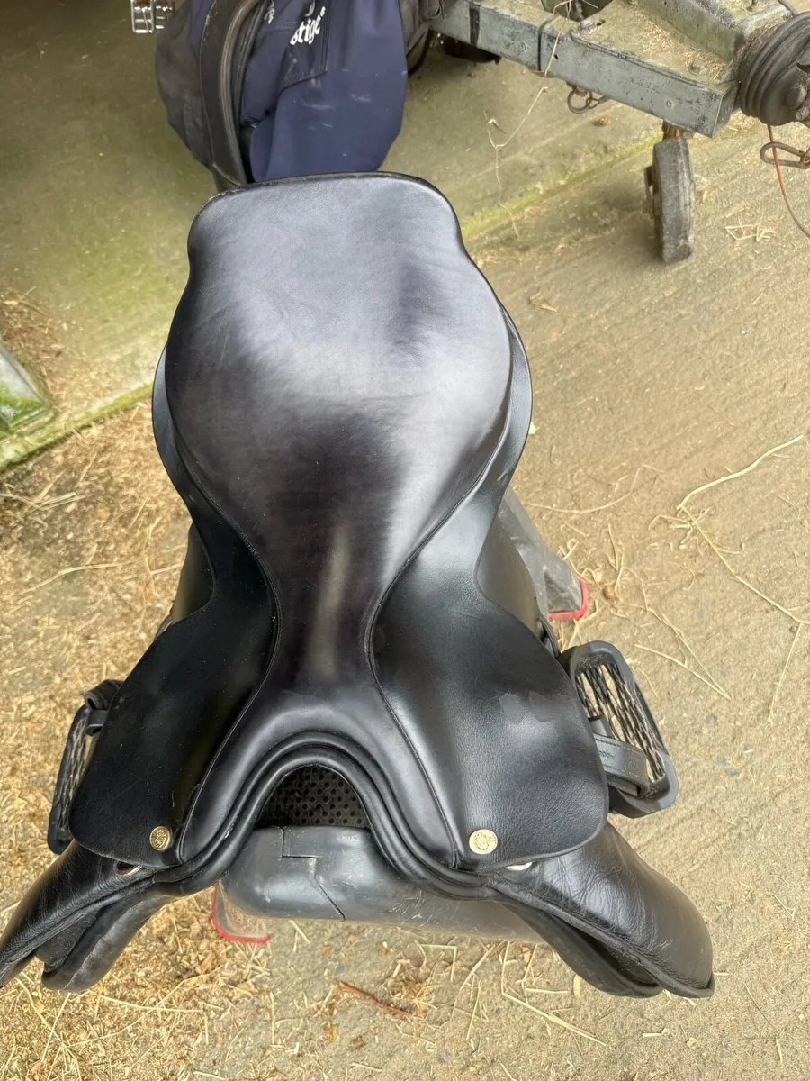 Ainsley saddle - Image 2