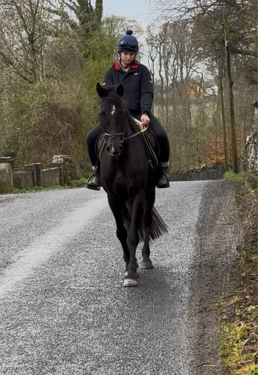 QUIET HAPPY HACKER/ SCHOOLMISTRESS - Image 2