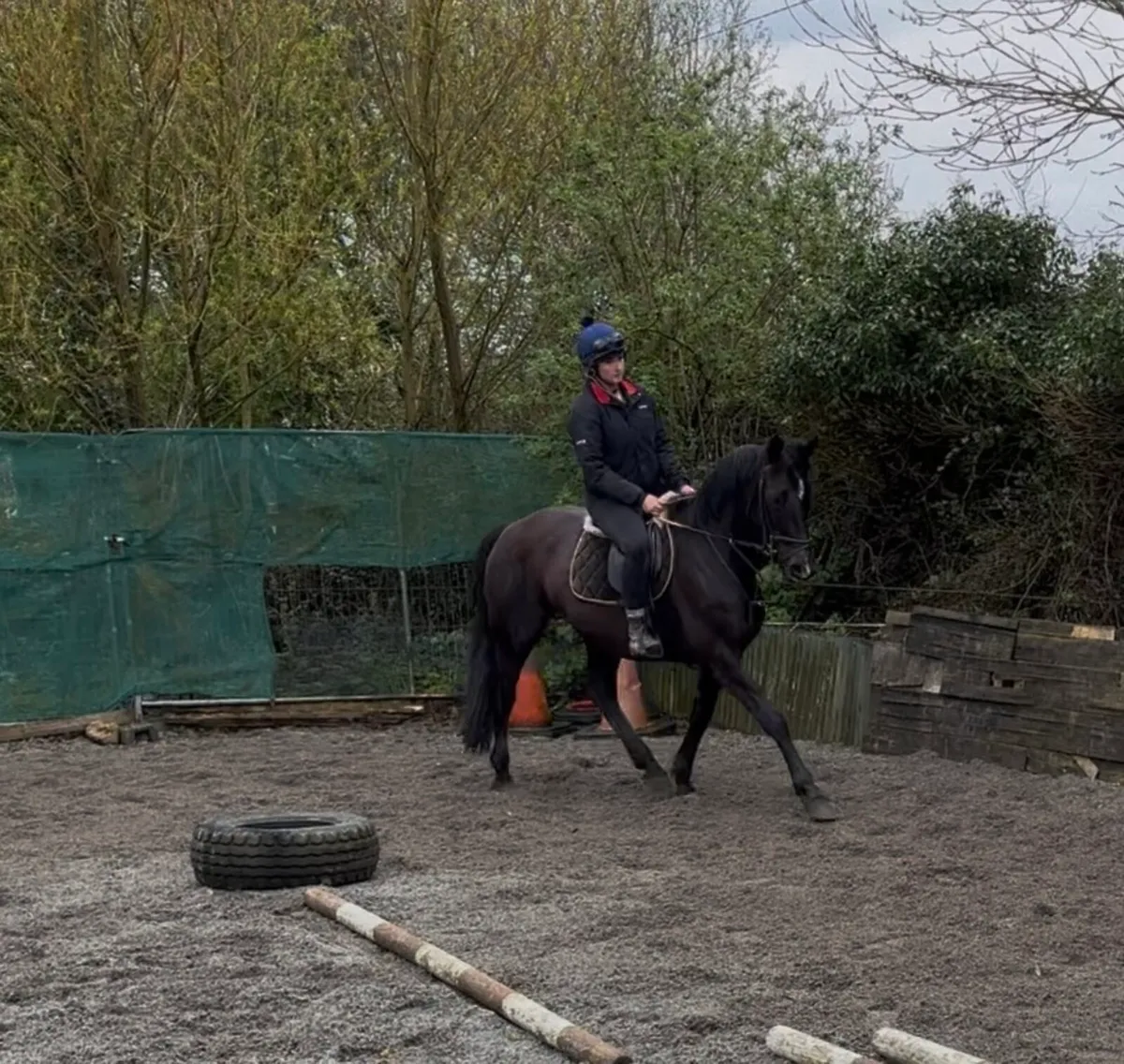 QUIET HAPPY HACKER/ SCHOOLMISTRESS - Image 3