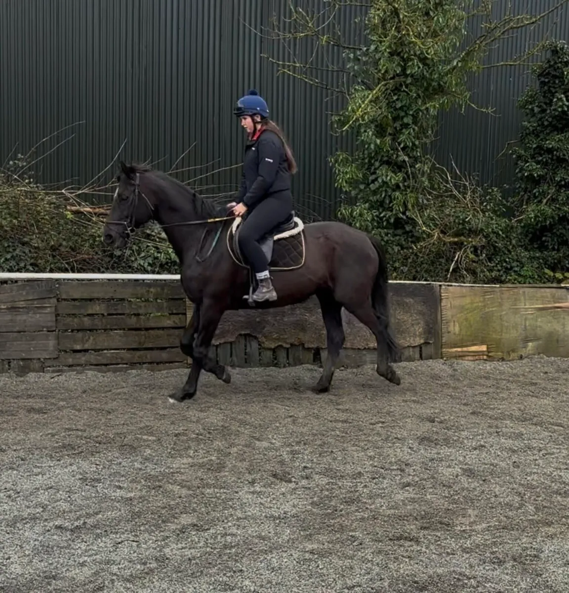 QUIET HAPPY HACKER/ SCHOOLMISTRESS - Image 4