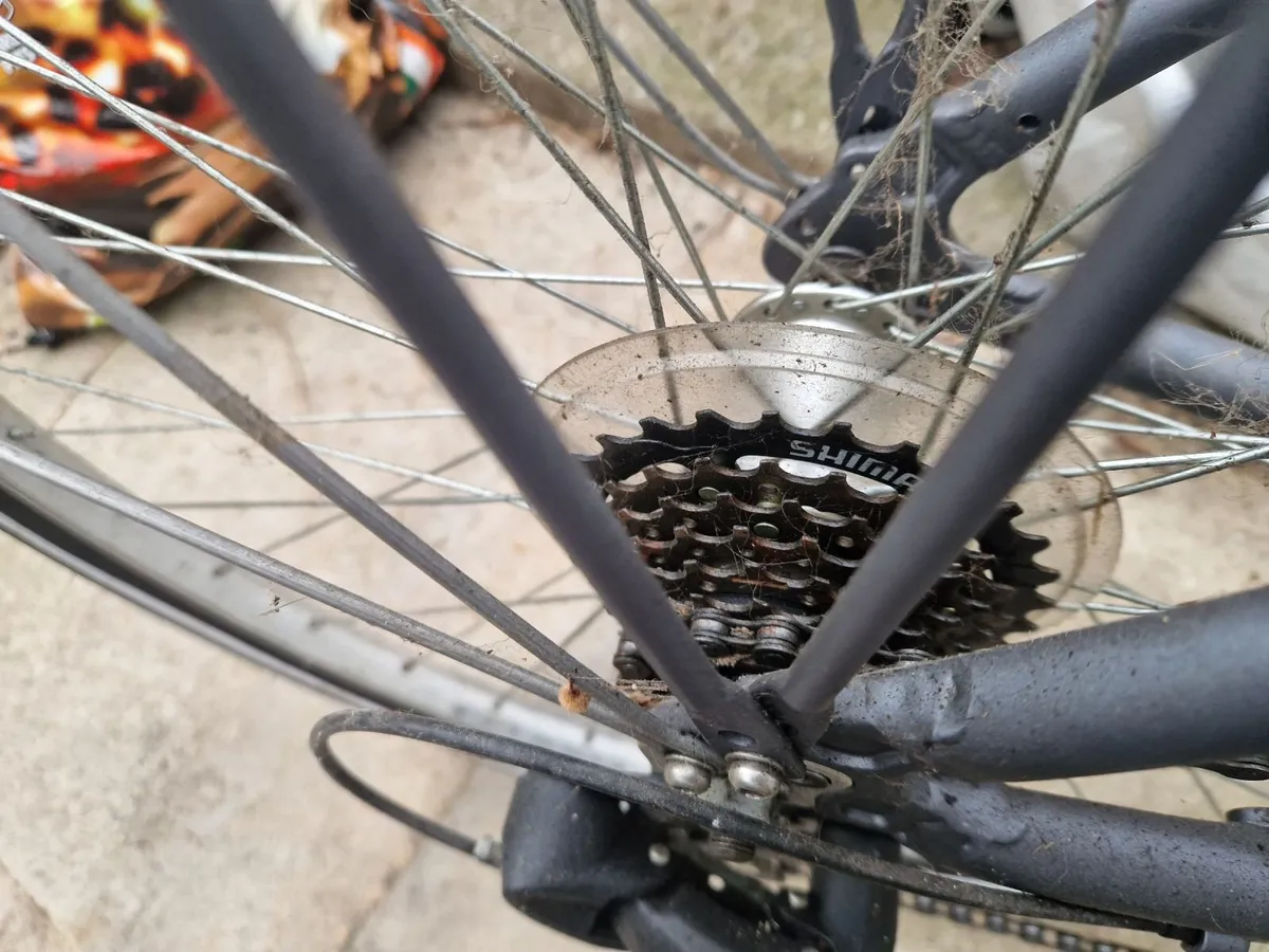 Ladies Raleigh bike with back carrier.Never used . - Image 2