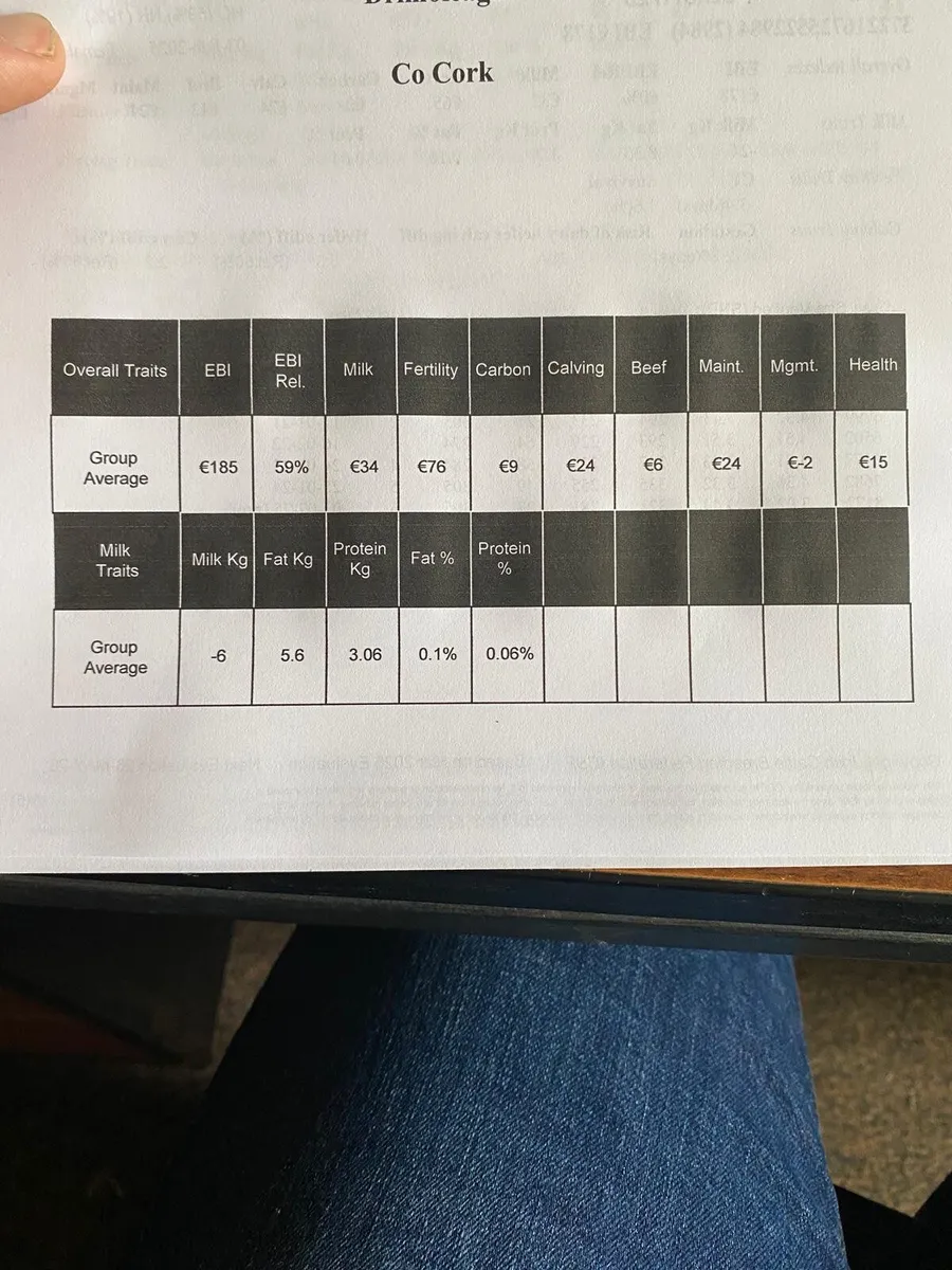 10 Fr/Nrx madien heifers - Image 2