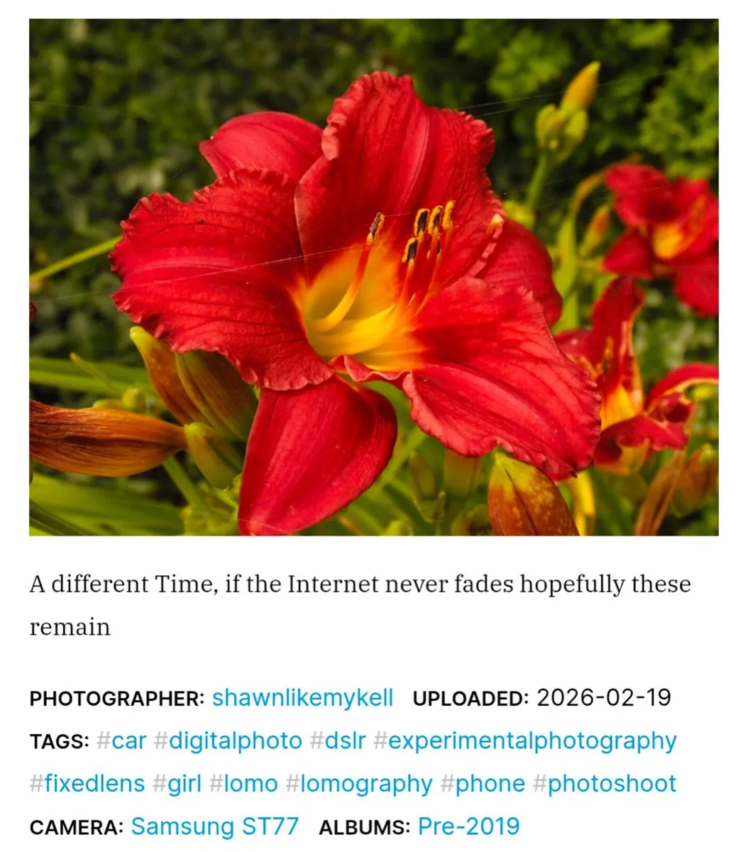 Samsung ST77 16MP CCD🌈 ultra compact camera - Image 4