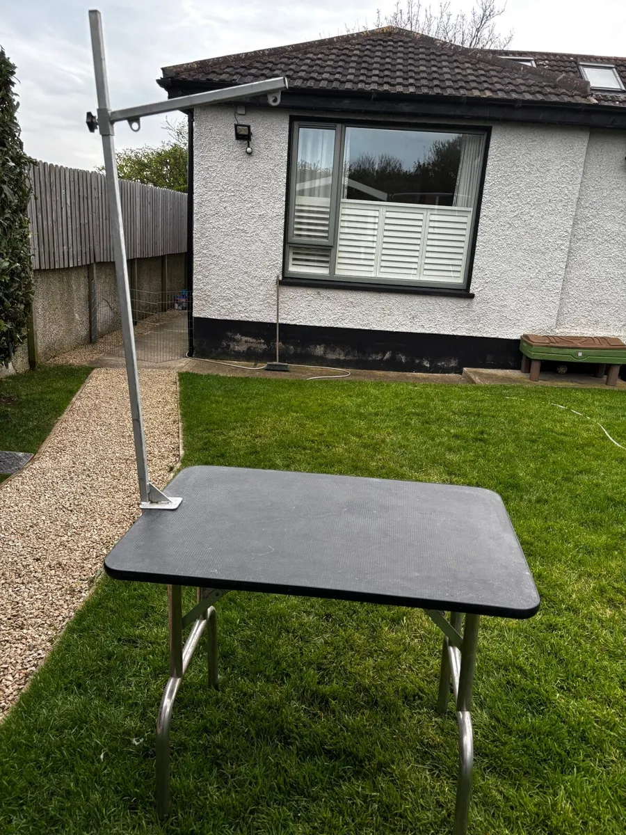Dog Grooming Table - Image 1