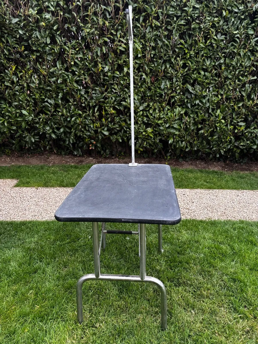 Dog Grooming Table - Image 3