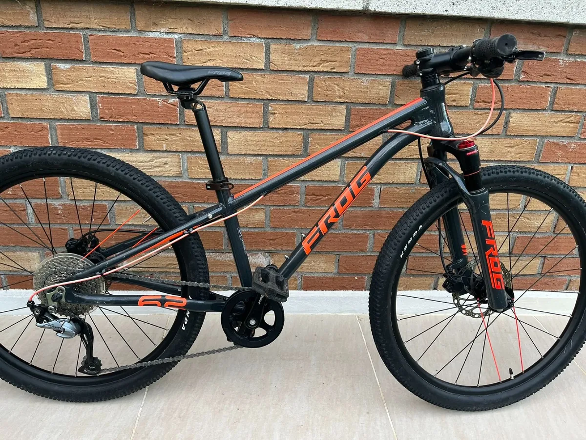 Frog 62 MTB - Image 1