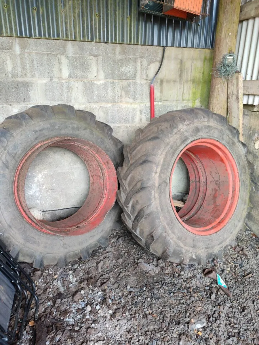 Shed Clearance - Image 3