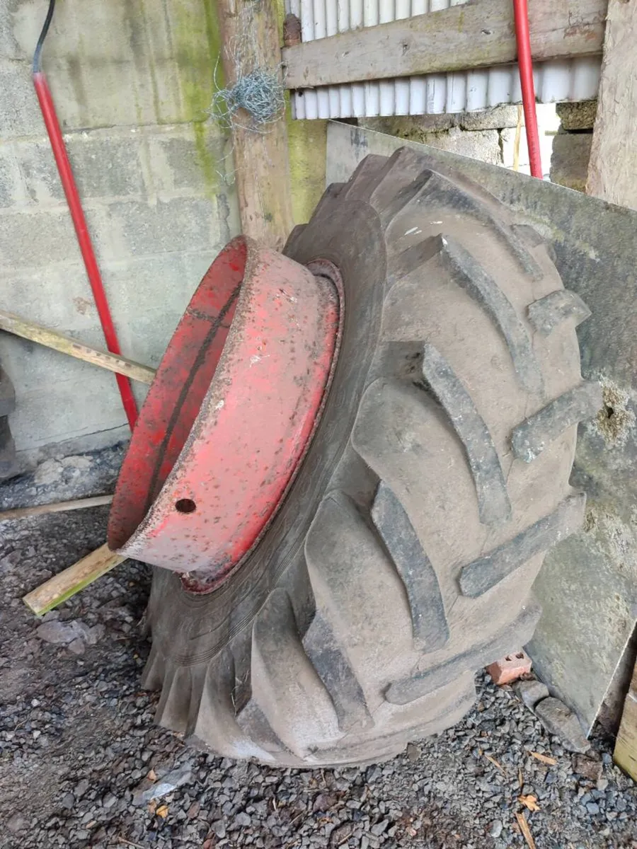 Shed Clearance - Image 4