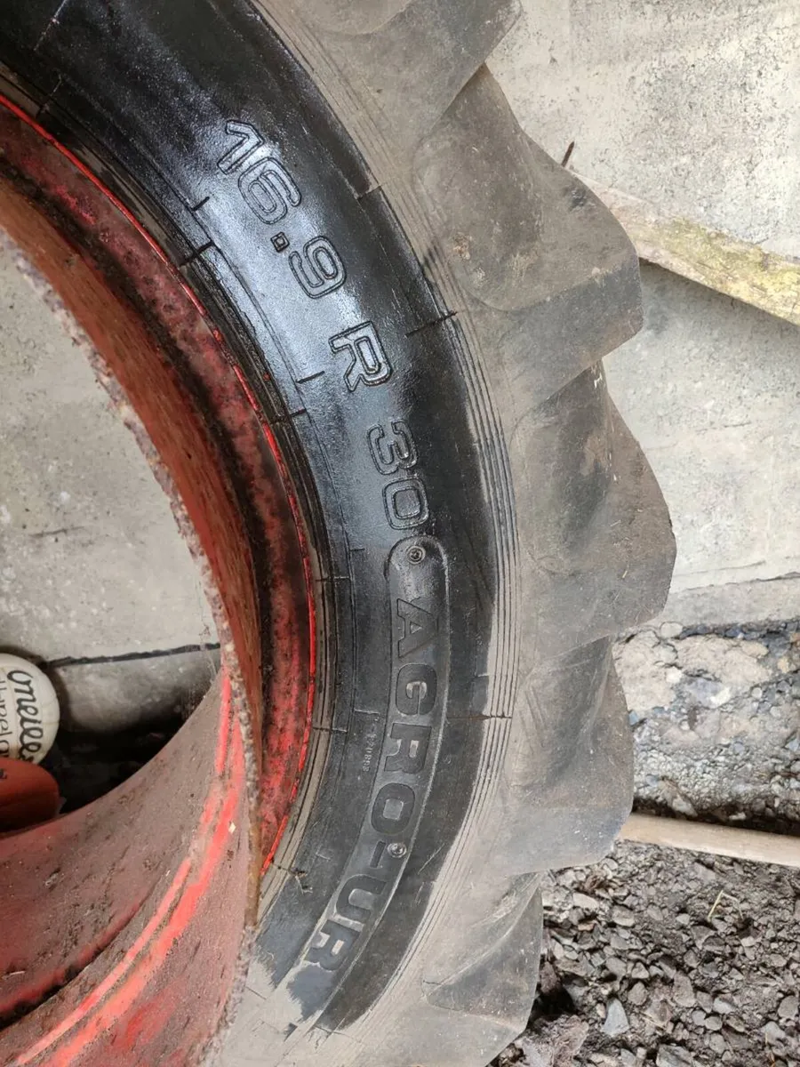 Shed Clearance - Image 3