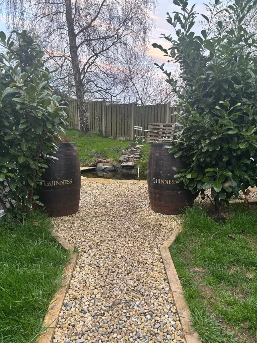 Guinness barrels - Image 2