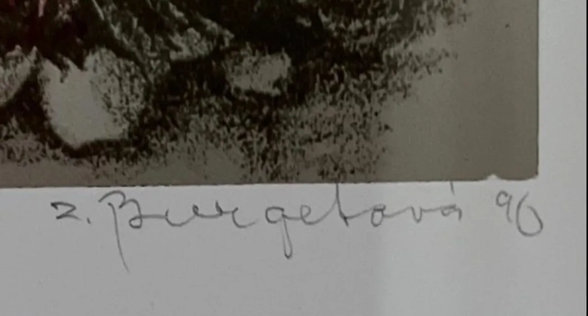 Limited edition signed print - Image 3