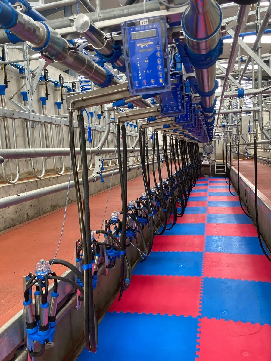 Relief Milker Wanted - Image 1