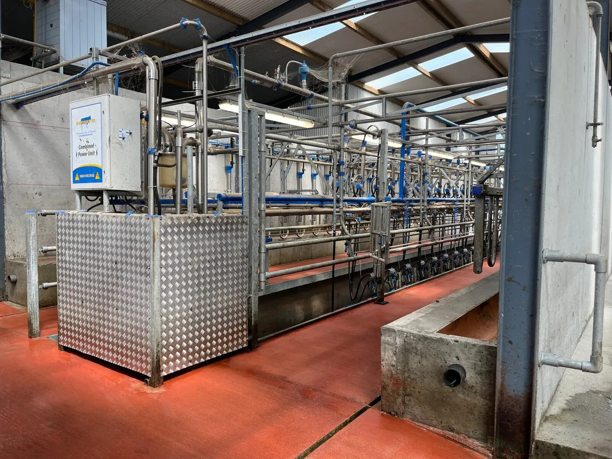 Relief Milker Wanted - Image 2