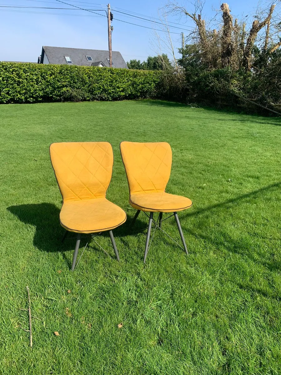 Dining chairs - Image 2