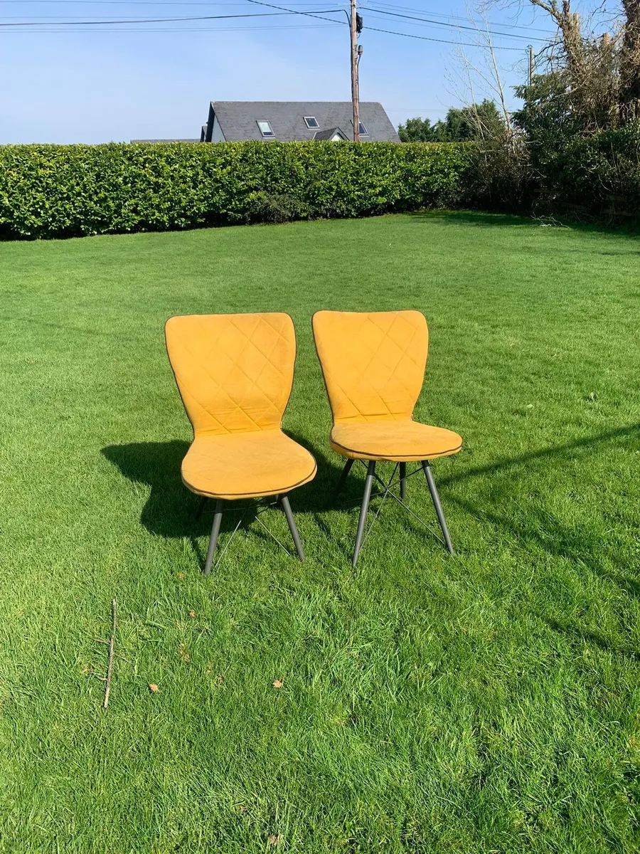 Dining chairs - Image 3