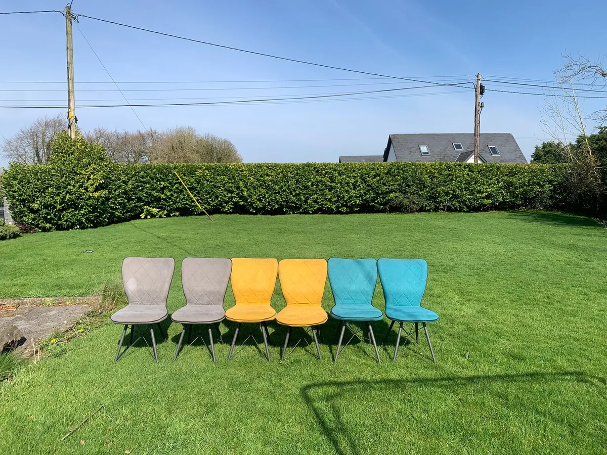 Dining chairs - Image 4