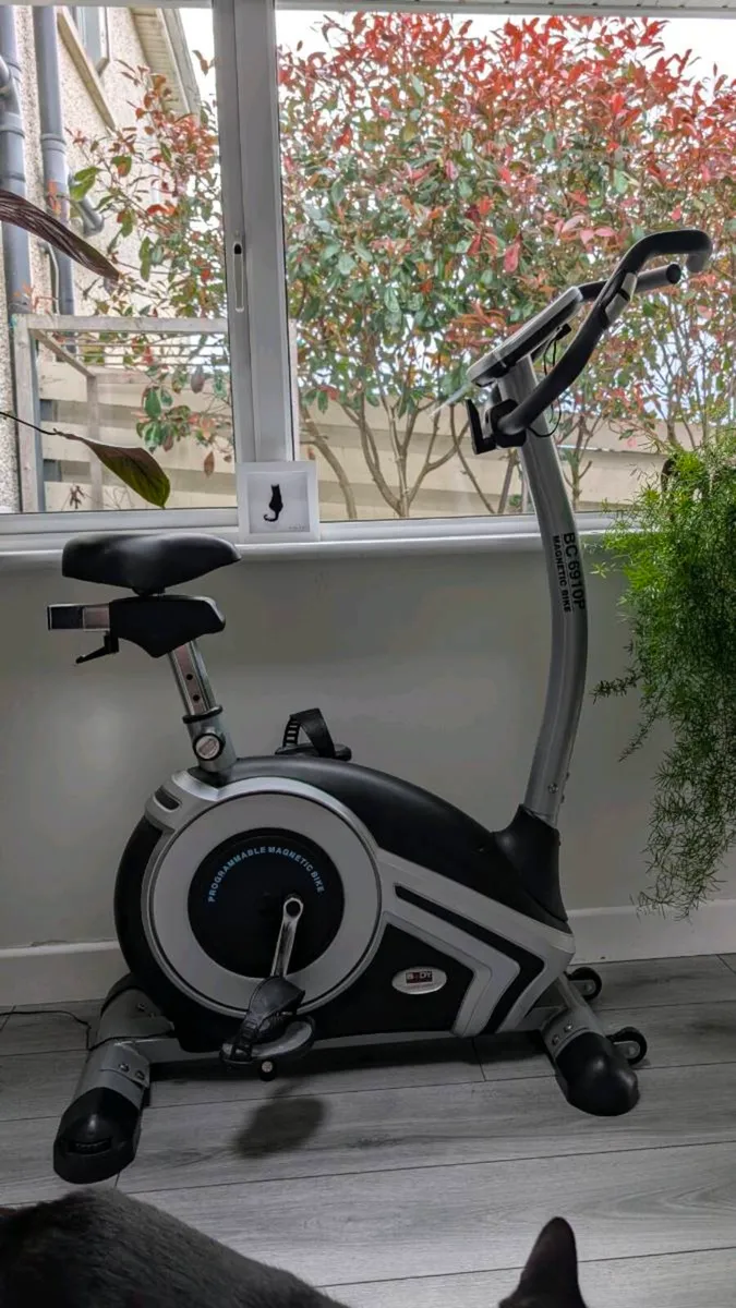 Stationary Bike - Image 1