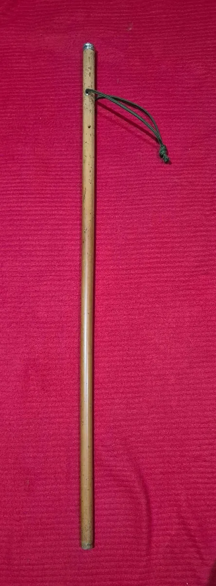 Vintage walking Cane - Image 2