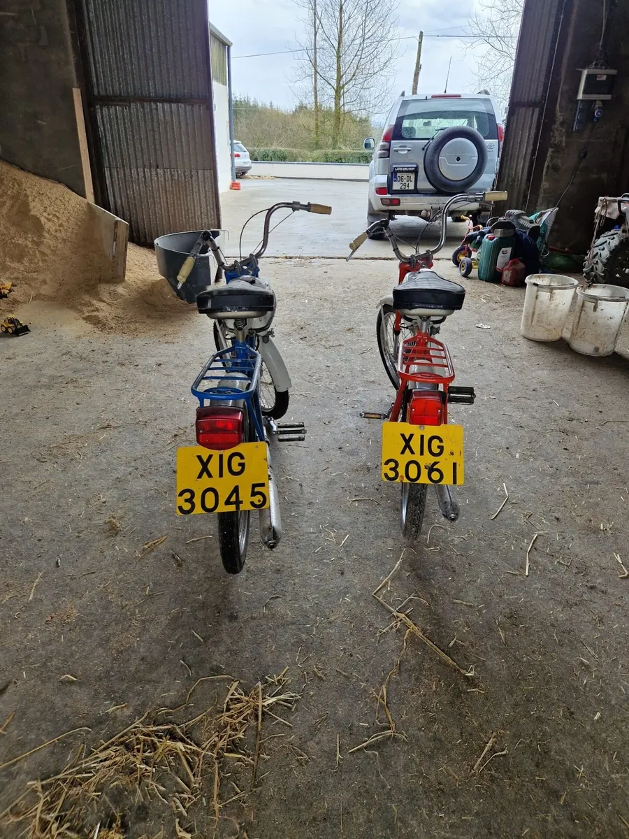 Motorised Bike - Image 1