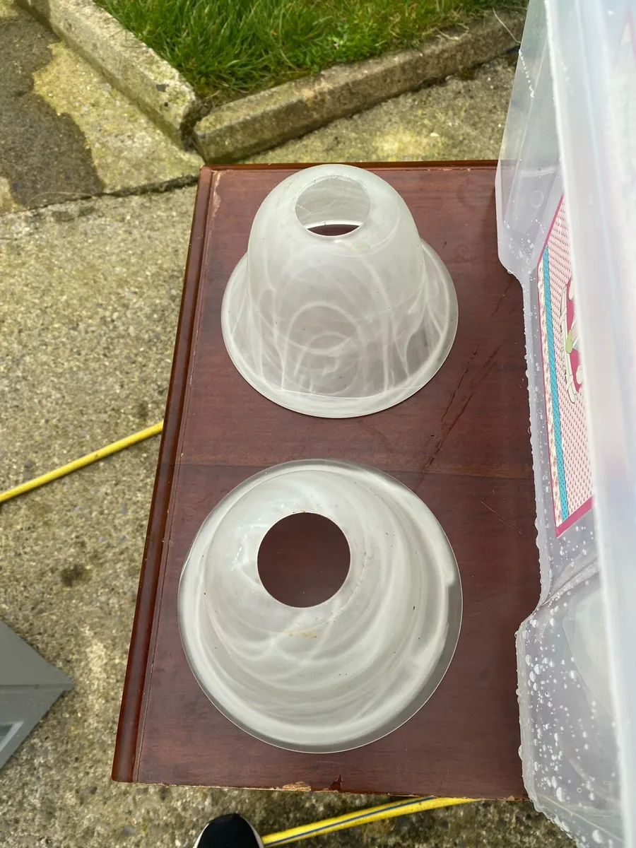 Vintage light fitting and Frosted glass shades - Image 1