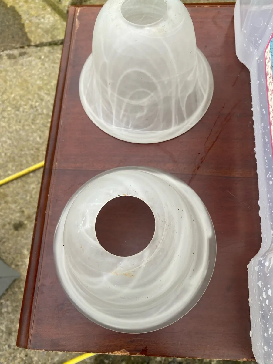 Vintage light fitting and Frosted glass shades - Image 2