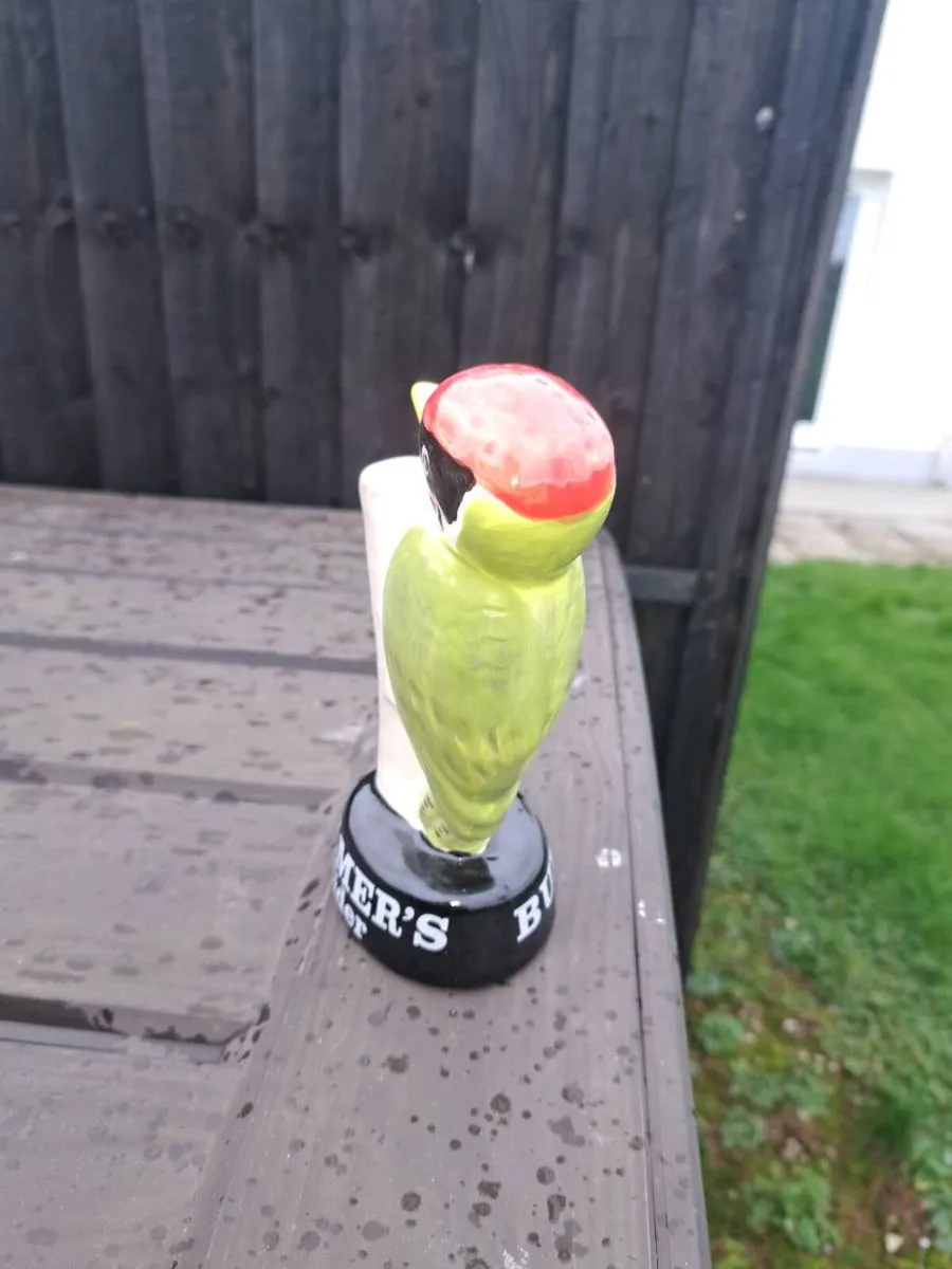 Bulmers bird - Image 3