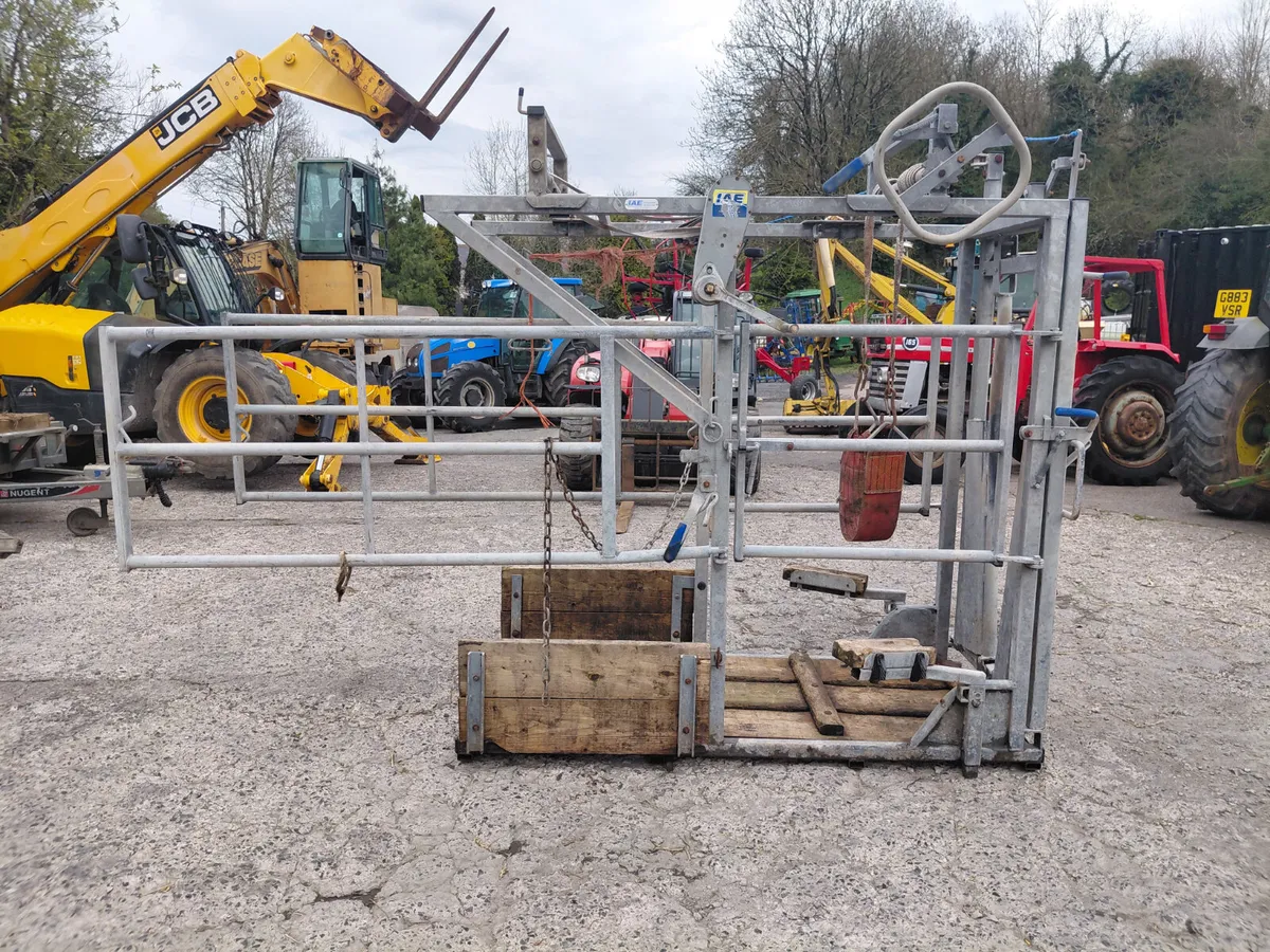 IAE Hoof crush - Image 2