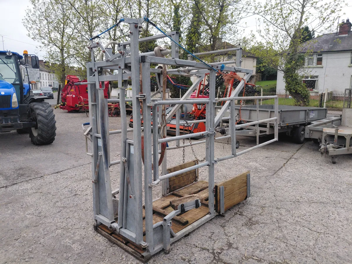 IAE Hoof crush - Image 3